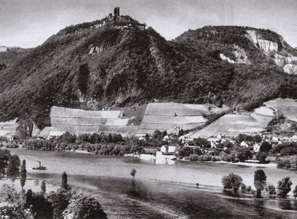 Weinbergslage Rhöndorfer Drachenfels - historische Aufnahme